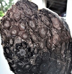 Deutschland/Sachsen/Mittelsachsen, Landkreis