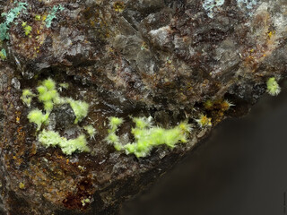 Deutschland/Baden-Württemberg/Freiburg, Bezirk/Waldshut, Landkreis/St. Blasien, Stadtgemeinde/Menzenschwand, Ortsteil/Krunkelbach