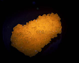 USA/Kalifornien (California)/El Dorado County/Georgetown District