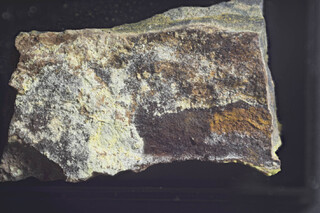 Frankreich/Occitanie (Okzitanien), Région/Hérault, Département/Lodève, Arrondissement/Le Puech/Rabejac