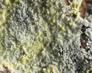 Frankreich/Occitanie (Okzitanien), Région/Hérault, Département/Lodève, Arrondissement/Le Puech/Rabejac