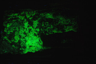 Frankreich/Occitanie (Okzitanien), Région/Hérault, Département/Lodève, Arrondissement/Le Puech/Rabejac