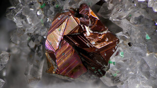 Deutschland/Niedersachsen/Göttingen, Landkreis/Bad Lauterberg im Harz, Stadtgemeinde/Grube Charlotte-Magdalena