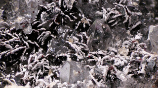 Deutschland/Niedersachsen/Göttingen, Landkreis/Bad Lauterberg im Harz, Stadtgemeinde/Grube Charlotte-Magdalena