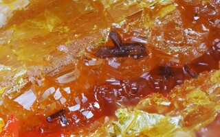 China/Hunan, Provinz/Changde, Präfektur/Shimen, Kreis/Jiepaiyu As-Lagerstätte/Jiepaiyu Mine (Shimen Mine; Realgar Mine)