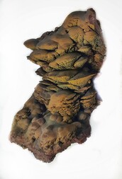 Deutschland/Nordrhein-Westfalen/Arnsberg, Bezirk/Siegen-Wittgenstein, Kreis/Burbach/Wahlbach, Ortsteil/Wethszeche