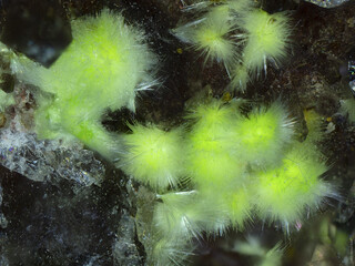 Deutschland/Baden-Württemberg/Freiburg, Bezirk/Waldshut, Landkreis/St. Blasien, Stadtgemeinde/Menzenschwand, Ortsteil/Krunkelbach