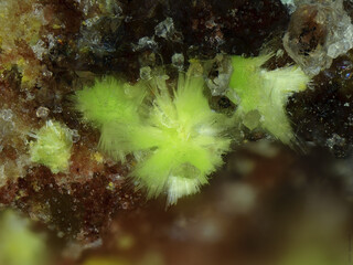 Deutschland/Baden-Württemberg/Freiburg, Bezirk/Waldshut, Landkreis/St. Blasien, Stadtgemeinde/Menzenschwand, Ortsteil/Krunkelbach