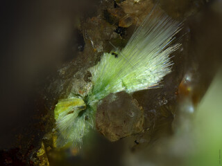 Deutschland/Baden-Württemberg/Freiburg, Bezirk/Waldshut, Landkreis/St. Blasien, Stadtgemeinde/Menzenschwand, Ortsteil/Krunkelbach