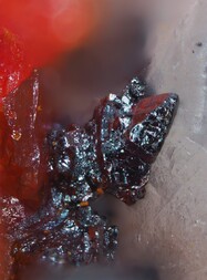 China/Hunan, Provinz/Changde, Präfektur/Shimen, Kreis/Jiepaiyu As-Lagerstätte/Jiepaiyu Mine (Shimen Mine; Realgar Mine)