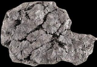 Deutschland/Bayern/Oberfranken, Bezirk/Wunsiedel im Fichtelgebirge, Landkreis/Wunsiedel, Stadtgemeinde/Marmorbrüche/Ratskalkofen