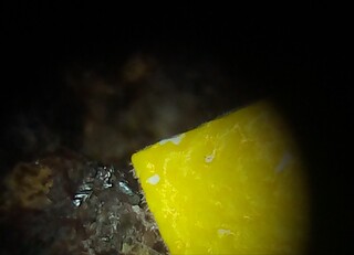 Deutschland/Sachsen/Dresden/Ratssteinbruch