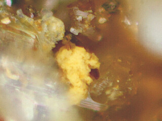 Österreich/Steiermark/Leoben, Bezirk/Kalwang