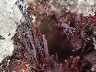 Deutschland/Sachsen/Mittelsachsen, Landkreis/Freiberg, Revier/Oberschöna/Bräunsdorf