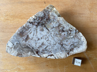 Deutschland/Sachsen/Sächsische Schweiz-Osterzgebirge, Landkreis/Döhlener Becken