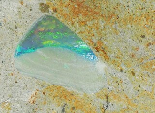 Australien/South Australia/Andamooka Ranges - Lake Torrens/Andamooka Opalfelder