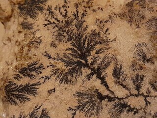 Deutschland/Bayern/Oberfranken, Bezirk/Wunsiedel im Fichtelgebirge, Landkreis/Thiersheim, Gemeinde/Stemmas, Ortsteil/Steinbrüche