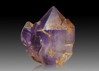 Australien/Queensland/Scenic Rim Region/Beechmont/Canungra