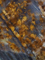 Südafrika/Nordwest (North West), Provinz/Dr Ruth Segomotsi Mompati, Distrikt/Bloemhof