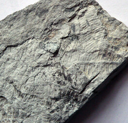 Deutschland/Thüringen/Altenburger Land, Landkreis/Nobitz/Kiesgrube Nobitz