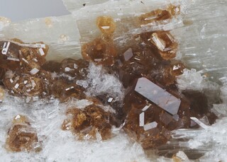 Schweiz/Wallis, Kanton/Goms, Bezirk/Binntal/Binn/Kriegalptal (Chriegalptal)/Fleschhorn