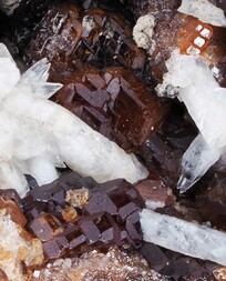 Schweiz/Wallis, Kanton/Goms, Bezirk/Binntal/Binn/Kriegalptal (Chriegalptal)/Fleschhorn