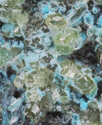 Schweiz/Wallis, Kanton/Goms, Bezirk/Binntal/Binn/Kriegalptal (Chriegalptal)/Fleschhorn