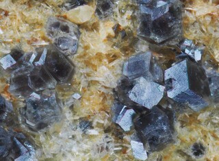 Schweiz/Wallis, Kanton/Goms, Bezirk/Binntal/Binn/Kriegalptal (Chriegalptal)/Fleschhorn