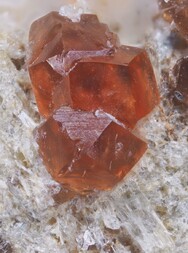 Schweiz/Wallis, Kanton/Goms, Bezirk/Binntal/Binn/Kriegalptal (Chriegalptal)/Fleschhorn