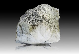 Schweiz/Wallis, Kanton/Goms, Bezirk/Binntal/Binn/Kriegalptal (Chriegalptal)/Fleschhorn