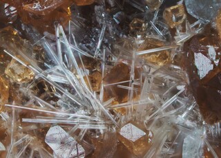 Schweiz/Wallis, Kanton/Goms, Bezirk/Binntal/Binn/Kriegalptal (Chriegalptal)/Fleschhorn