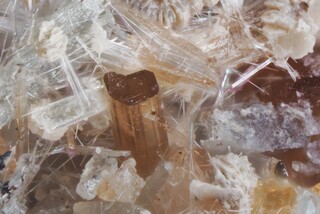 Schweiz/Wallis, Kanton/Goms, Bezirk/Binntal/Binn/Kriegalptal (Chriegalptal)/Fleschhorn