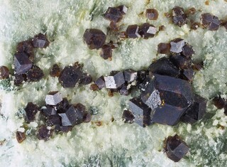 Schweiz/Wallis, Kanton/Goms, Bezirk/Binntal/Binn/Kriegalptal (Chriegalptal)/Fleschhorn