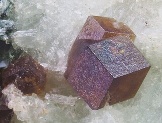 Schweiz/Wallis, Kanton/Goms, Bezirk/Binntal/Binn/Kriegalptal (Chriegalptal)/Fleschhorn