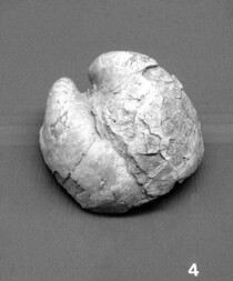 Deutschland/Bayern/Oberpfalz, Bezirk/Regensburg, kreisfreie Stadt/Winzerer Höhen