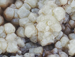 Schweiz/Wallis, Kanton/Goms, Bezirk/Binntal/Binn/Geisspfad-Gebiet