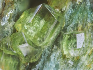 Schweiz/Wallis, Kanton/Goms, Bezirk/Binntal/Binn/Geisspfad-Gebiet