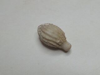 Deutschland/Sachsen/Dresden/Hoher Stein