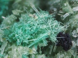 Schweiz/Wallis, Kanton/Goms, Bezirk/Binntal/Binn/Geisspfad-Gebiet/Schwarzhorn Nordflanke