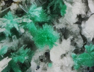 Schweiz/Wallis, Kanton/Goms, Bezirk/Binntal/Binn/Geisspfad-Gebiet/Schwarzhorn Nordflanke