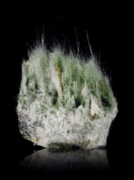 Italien/Trentino-Südtirol (Trentino-Alto Adige)/Südtirol (Bozen), Provinz/Pustertal (Val Pusteria), Bezirk/Prettau, Gemeinde