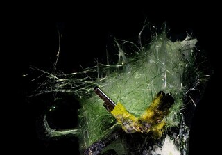 Österreich/Salzburg/Zell am See, Bezirk (Pinzgau)/Krimml/Krimmler Achental/Söllnkar