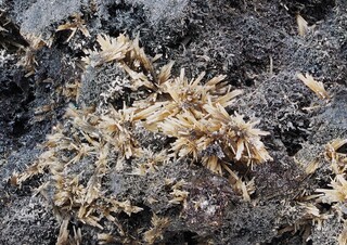 Bolivien/Oruro, Departamento/Poopó, Provinz/Pazna/Monserrat-Antequera, Distrikt