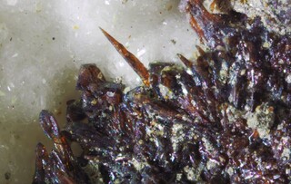 USA/Kalifornien (California)/San Benito County/New Idria District/Clear Creek Claim (Clear Creek Mine)