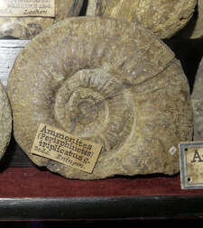 Deutschland/Baden-Württemberg/Tübingen, Bezirk/Reutlingen, Landkreis/Reutlingen/Eningen unter Achalm