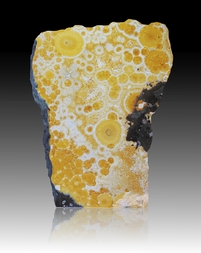 Deutschland/Baden-Württemberg/Freiburg, Bezirk/Konstanz, Landkreis/Singen/Hohentwiel