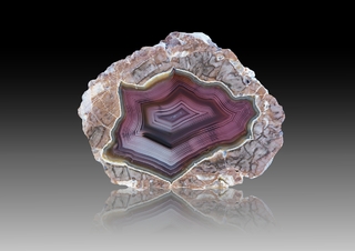 USA/New Mexico/Luna County/Deming/Baker Ranch