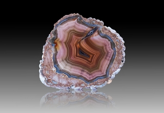 USA/New Mexico/Luna County/Deming/Baker Ranch