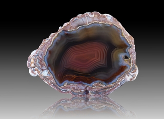 USA/New Mexico/Luna County/Deming/Baker Ranch