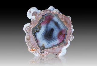 USA/New Mexico/Luna County/Deming/Baker Ranch